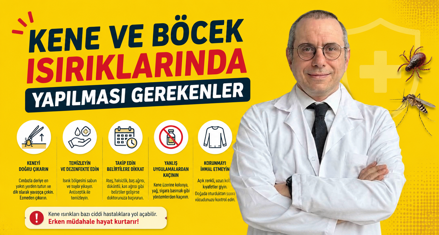 Kene ve böcek ısırıklarında yapılması gerekenler