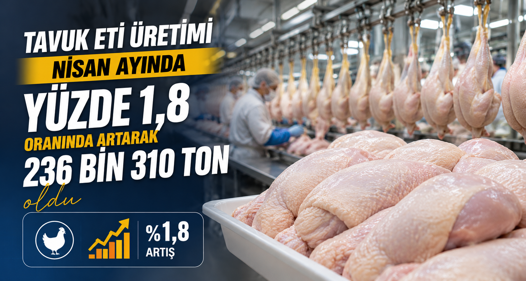 Tavuk eti üretimi Nisan ayında yüzde 1,8 oranında artarak 236 bin 310 ton oldu