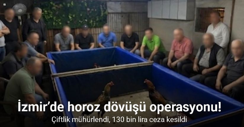 İzmir’de horoz dövüşü operasyonu: Çiftlik mühürlendi, 130 bin lira ceza kesildi