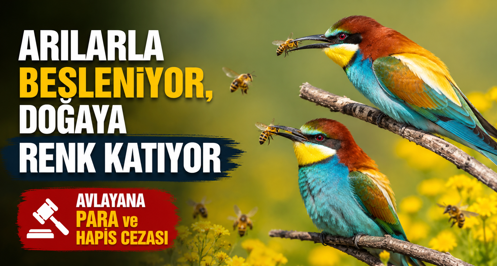 Arılarla besleniyor, doğaya renk katıyor: Avlayana para ve hapis cezası