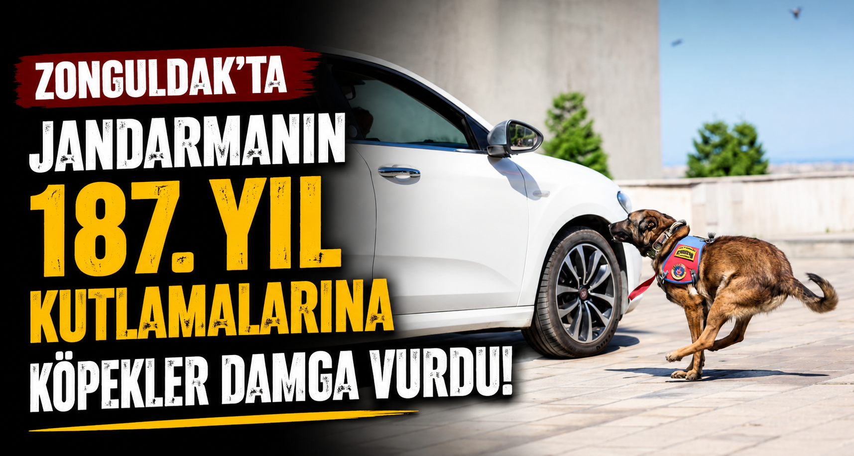 Zonguldak’ta jandarmanın 187. yıl kutlamalarına köpekler damga vurdu