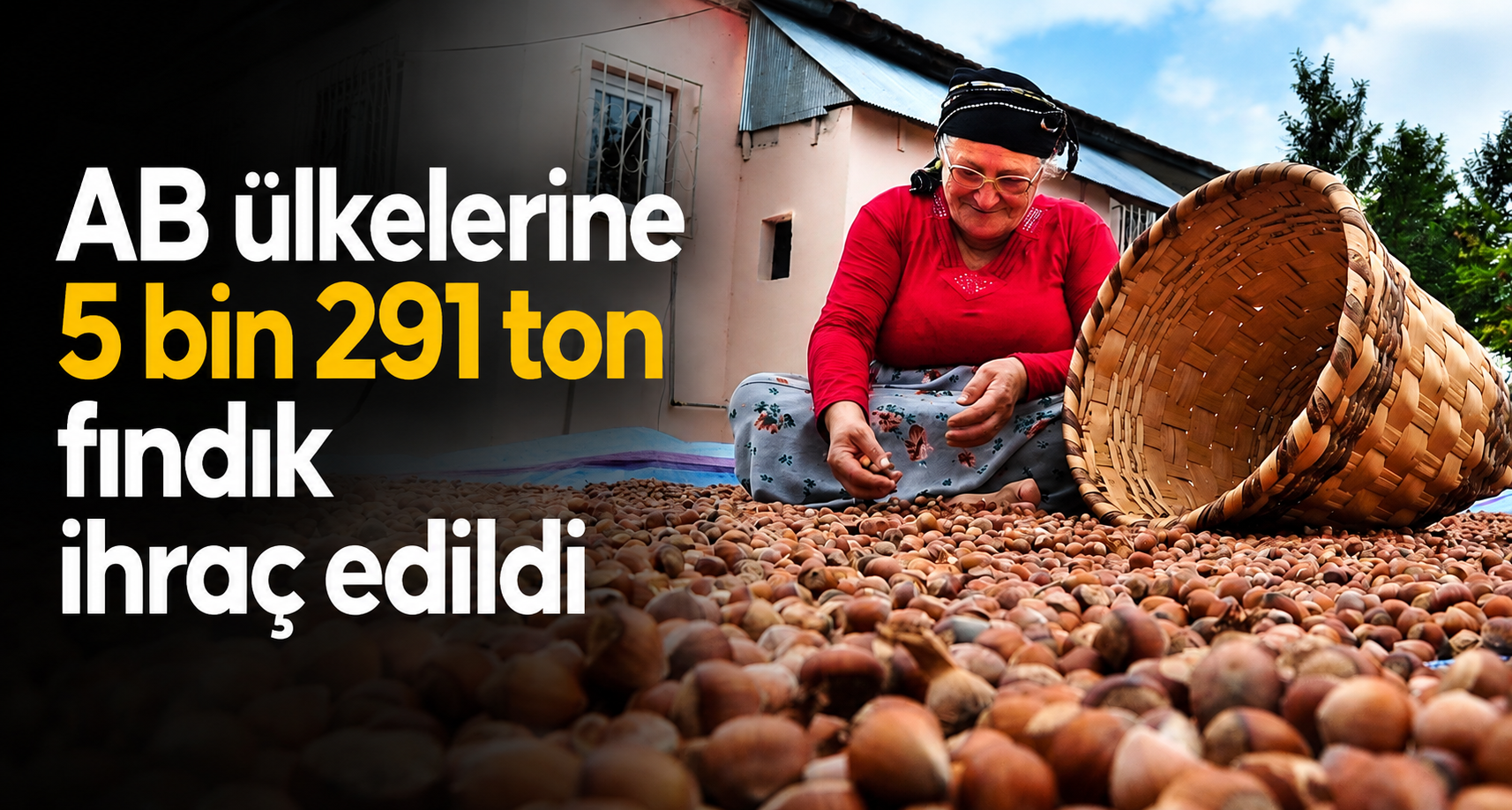 AB ülkelerine 5 bin 291 ton fındık ihraç edildi