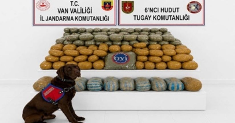 Van-İran sınırında 291 kilo esrar ele geçirildi