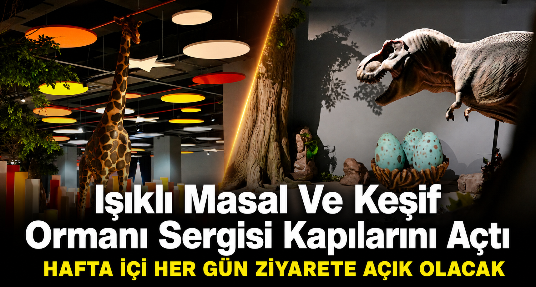 Işıklı Masal Ve Keşif Ormanı Sergisi Kapılarını Açtı