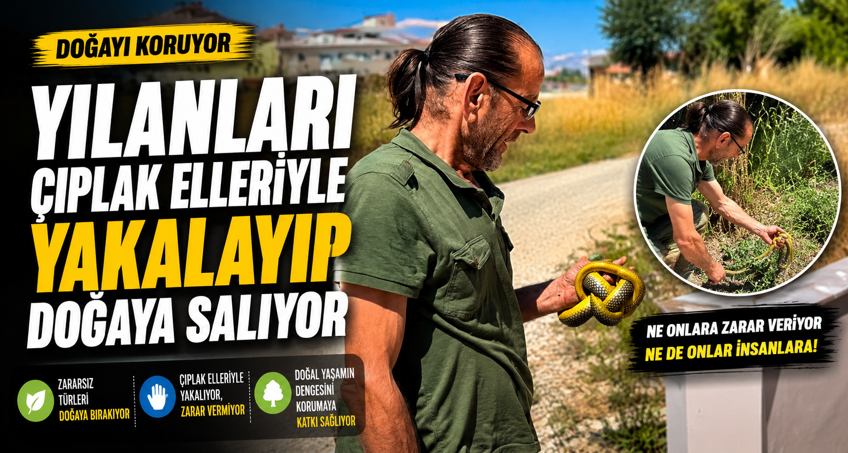 Yılanları çıplak elleriyle yakalayıp doğaya salıyor