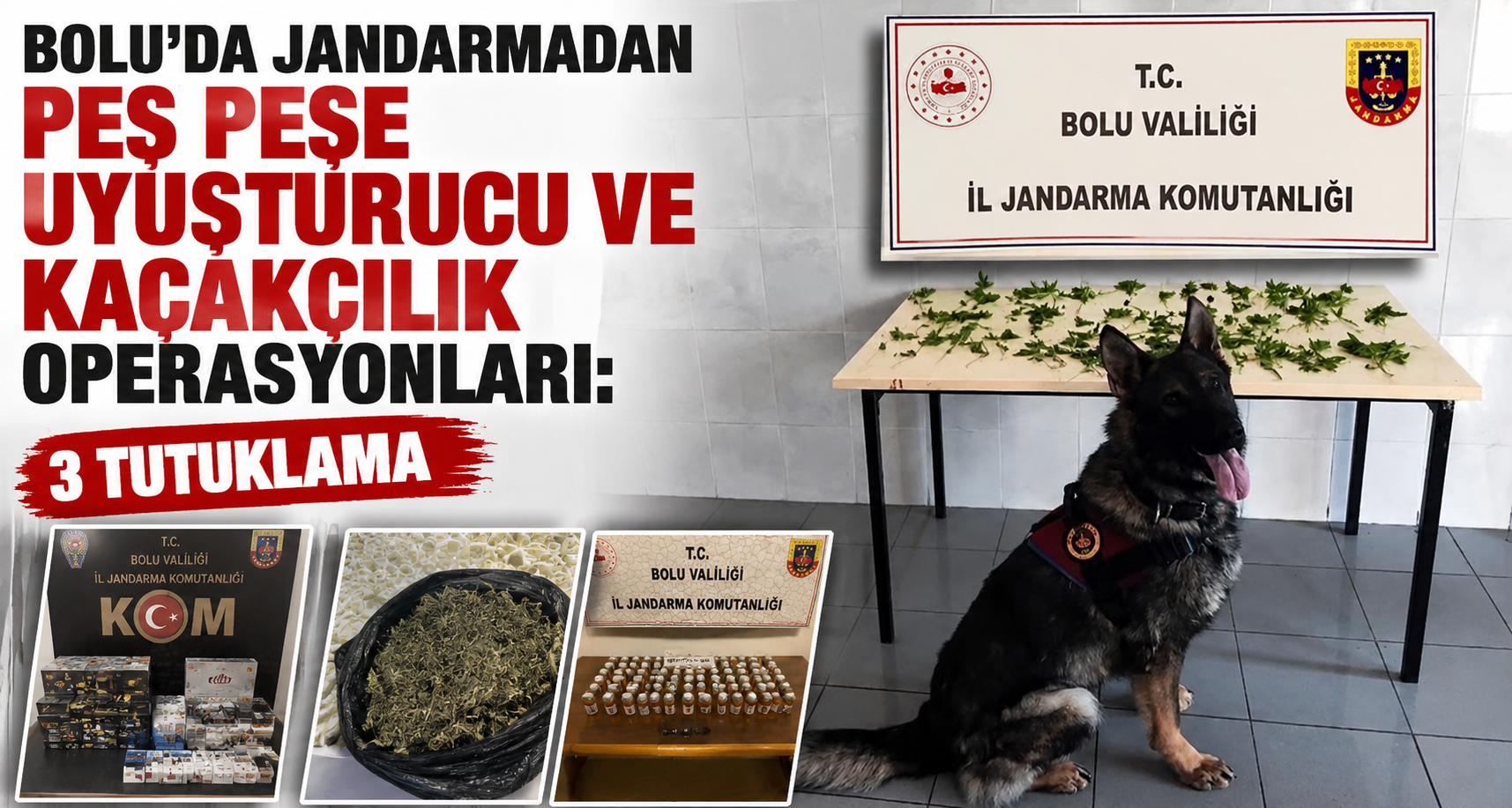 Bolu’da jandarmadan peş peşe uyuşturucu ve kaçakçılık operasyonları: 3 tutuklama