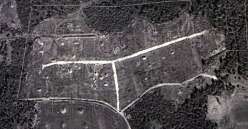 Ormanı bölüşen kamu personeline mahkeme 'dur' dedi