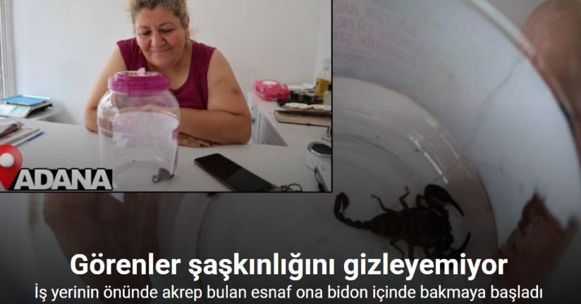 İş yerinin önünde akrep bulan esnaf ona bidon içinde bakmaya başladı