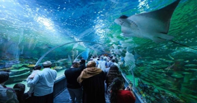 Kocaeli'ndeki Körfez Aqua Kıtalar Akvaryumu'na ücretsiz ziyaret süresi uzatıldı