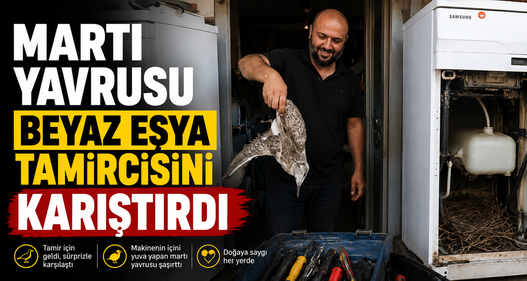 Martı yavrusu beyaz eşya tamircisini karıştırdı