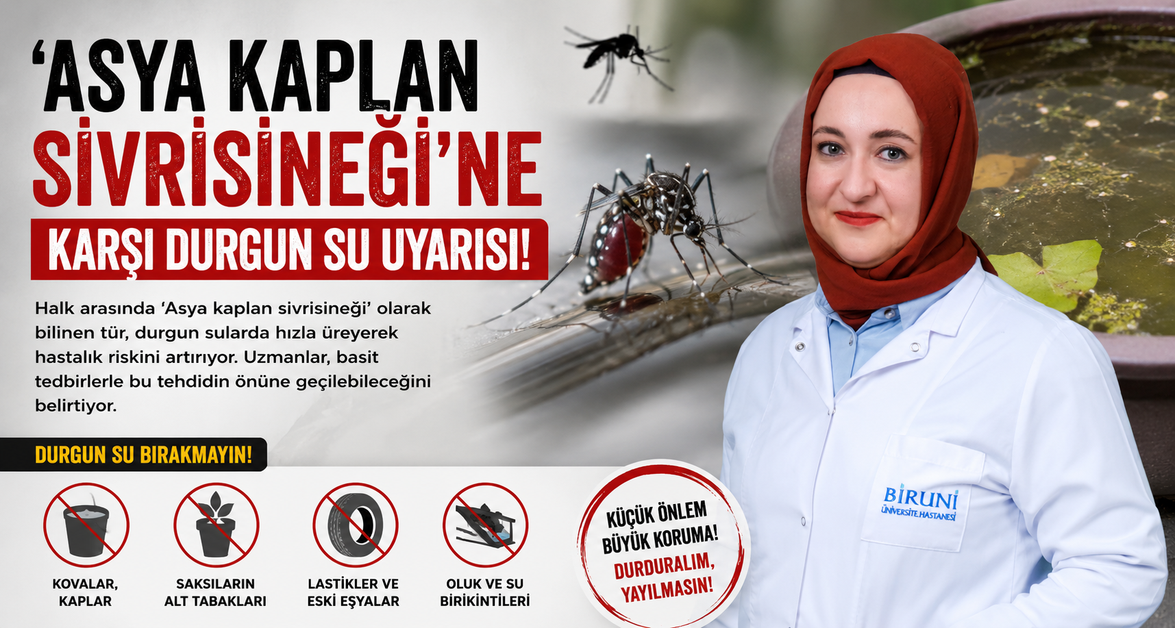 'Asya kaplan sivrisineği'ne karşı durgun su uyarısı
