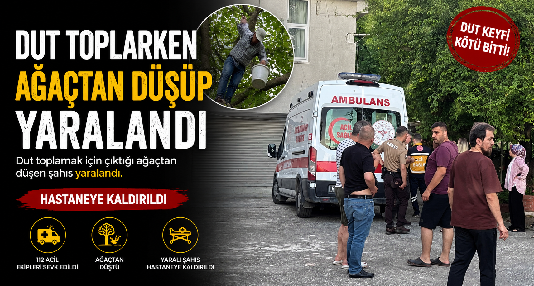 Dut toplarken ağaçtan düşüp yaralandı