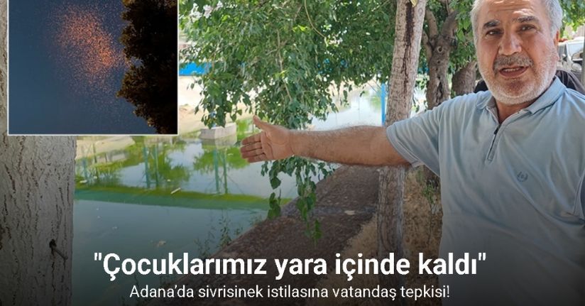 Adana’da sivrisinek istilasına vatandaş tepkisi: 