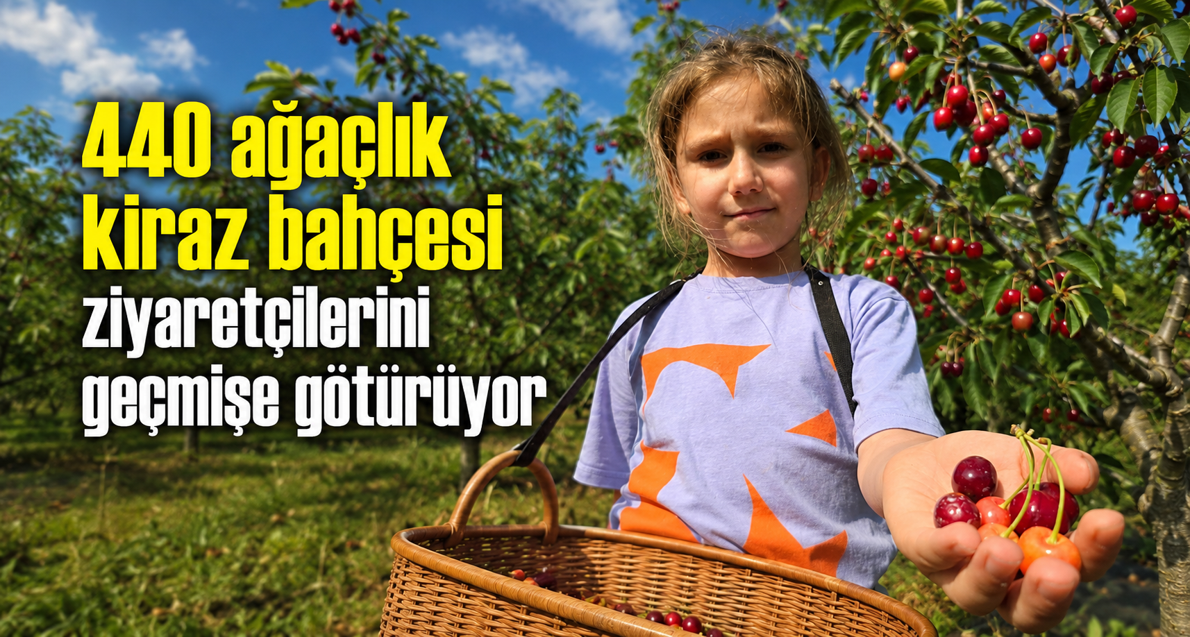 440 Ağaçlık Kiraz Bahçesi Ziyaretçilerini Geçmişe Götürüyor