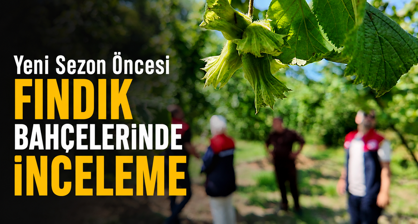 Yeni Sezon Öncesi Fındık Bahçelerinde İnceleme