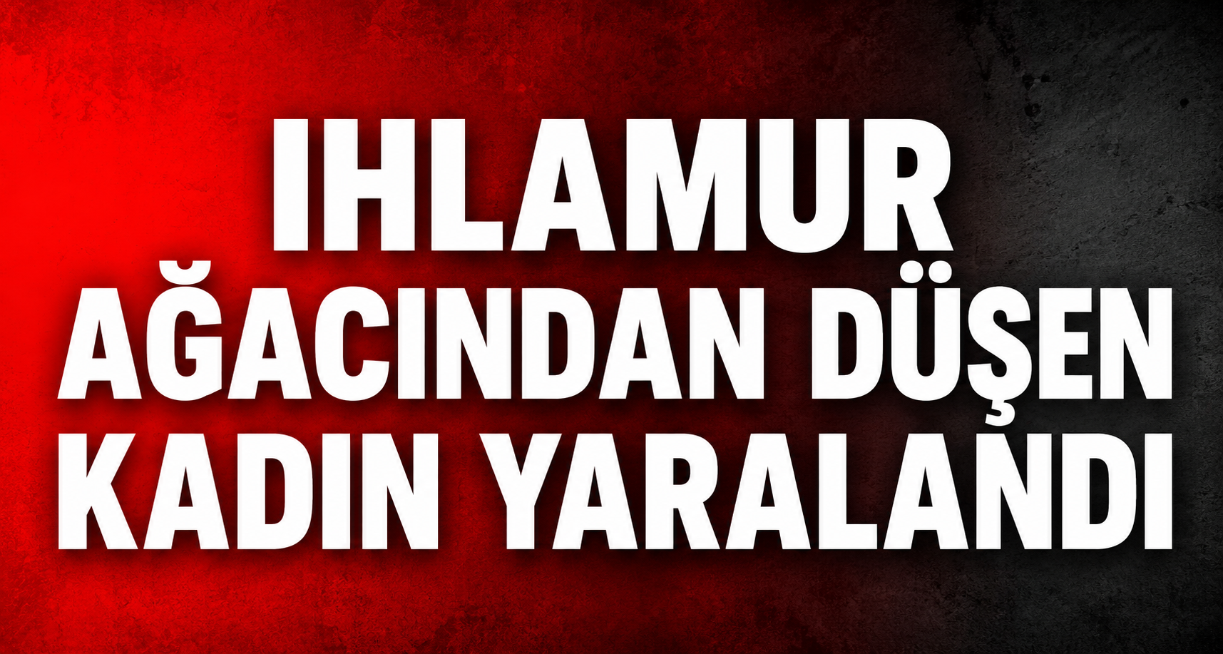 Ihlamur ağacından düşen kadın yaralandı