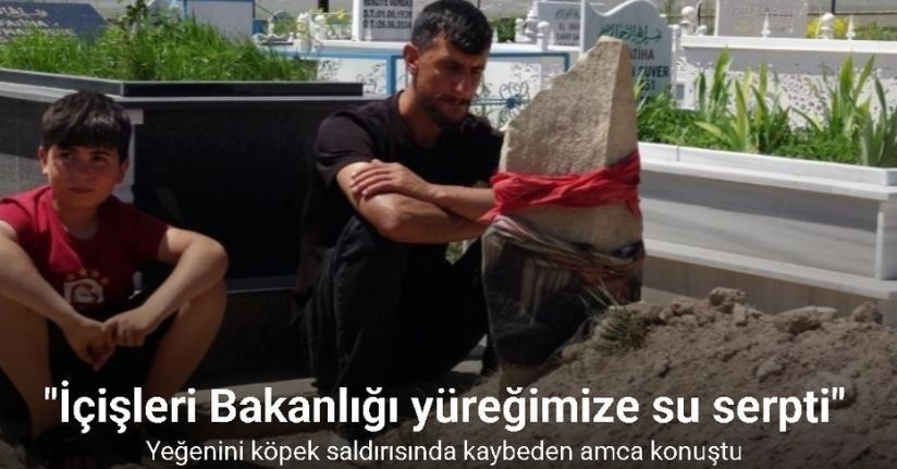 Yeğenini köpek saldırısında kaybeden amca: 