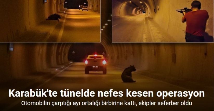 Karabük’te otomobilin çarptığı yaralı ayı tüneli birbirine kattı