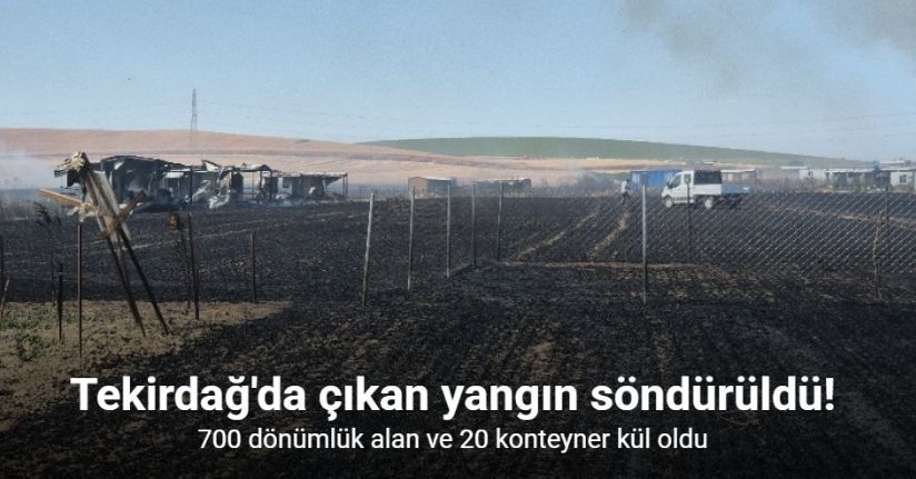 700 dönümlük alan ve 20 konteyner kül oldu
