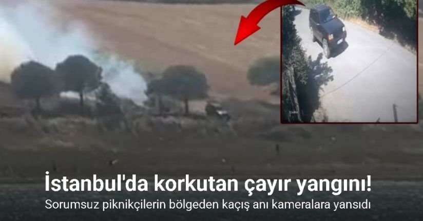 Piknik ateşi çayırlık alanı küle çevirdi