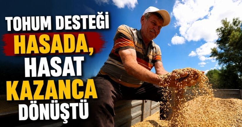 Tohum desteği hasada, hasat kazanca dönüştü