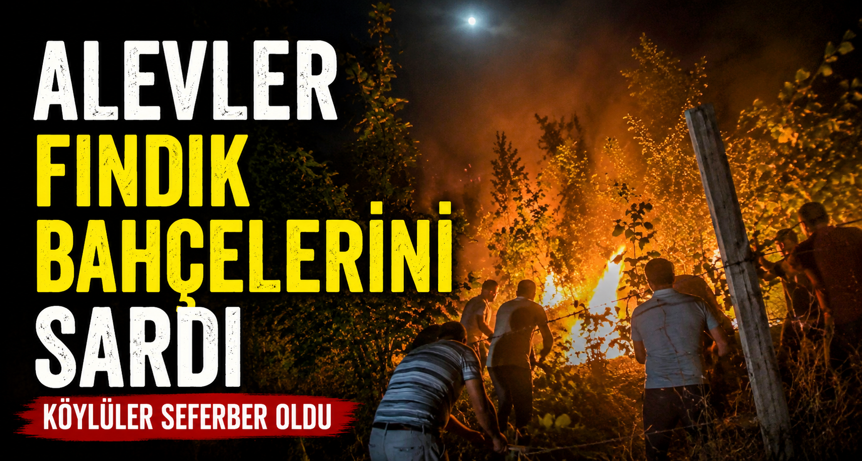 Alevler fındık bahçelerini sardı, köylüler seferber oldu