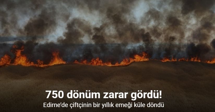 Edirne’de çiftçinin bir yıllık emeği küle döndü