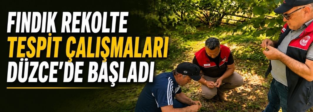 Fındık Rekolte Tespit Çalışmaları Düzce'de Başladı