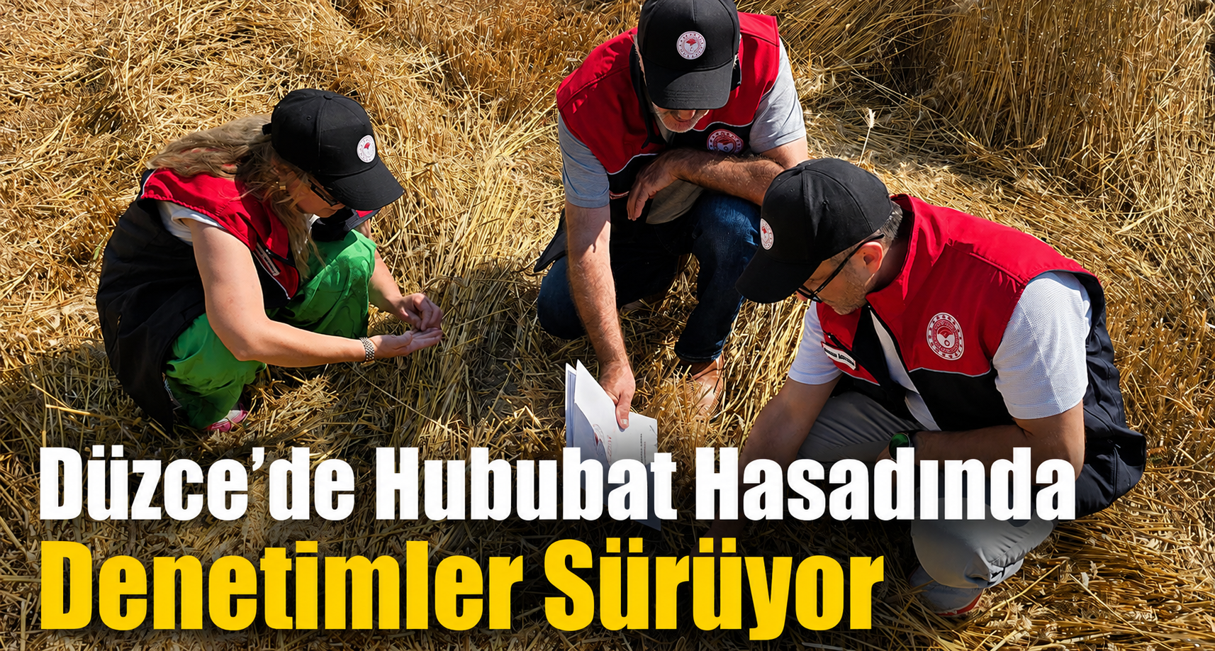 Düzce'de Hububat Hasadında Denetimler Sürüyor