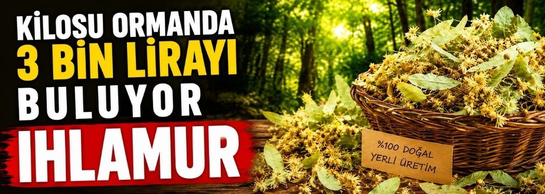 Kilosu  3 bin lirayı buluyor