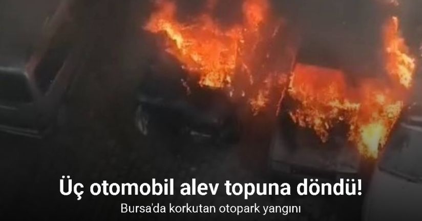 Park halindeki otomobiller alev topuna döndü