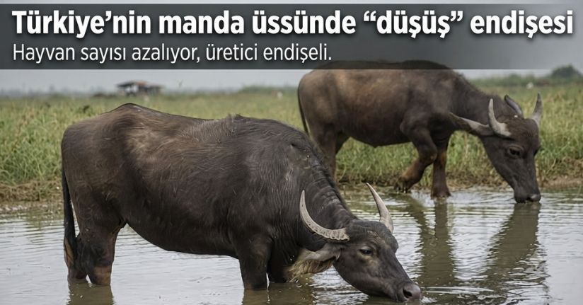 Türkiye’nin manda üssünde 