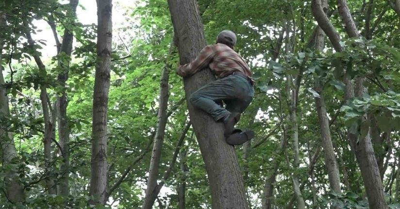 Herkes onu kayıp diye arıyordu...Ihlamur toplamak için çıktığı ağaçtan düştüğü ortaya çıktı