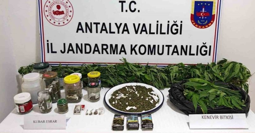 Manavgat’ta 2 kilo kubar esrar ve 130 kök kenevir ele geçirildi