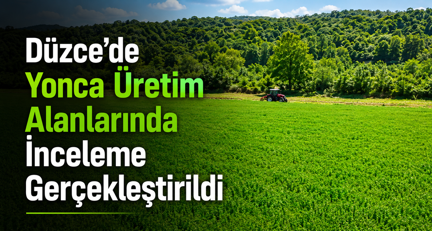 Düzce’de Yonca Üretim Alanlarında İnceleme Gerçekleştirildi