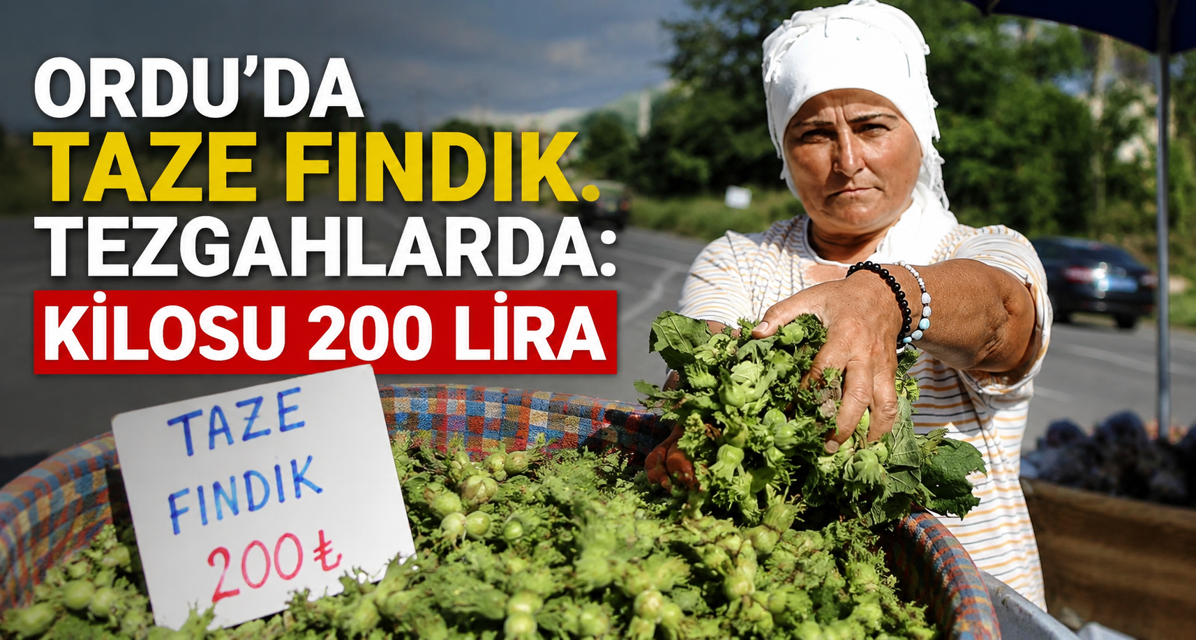 Ordu’da taze fındık tezgahlarda: Kilosu 200 lira