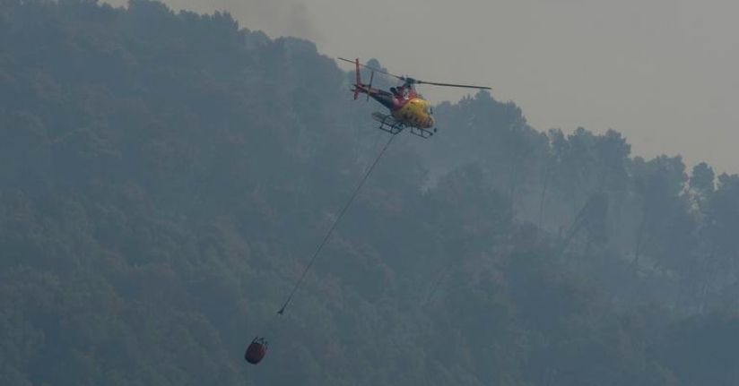 İspanya'da orman yangını: 11 ölü