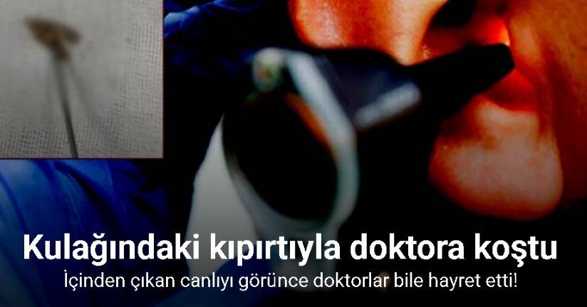 Kulağından ’kelebek’ çıktı: 