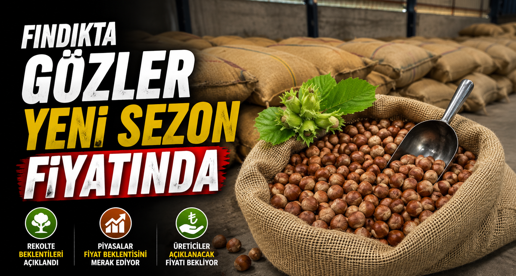 Fındıkta gözler yeni sezon fiyatında