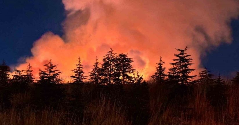 Ankara’da otluk arazide çıkan yangın söndürüldü