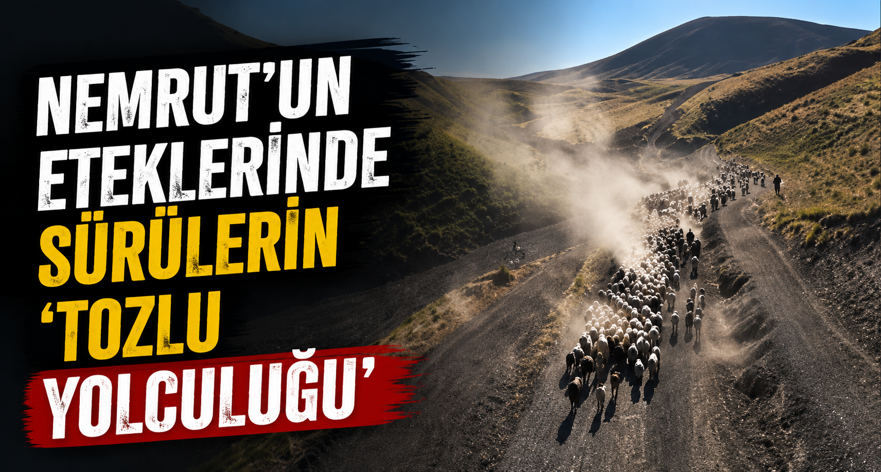 Nemrut’un eteklerinde sürülerin 'tozlu yolculuğu'