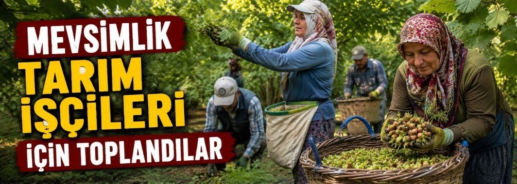 Mevsimlik tarım işçileri için toplandılar