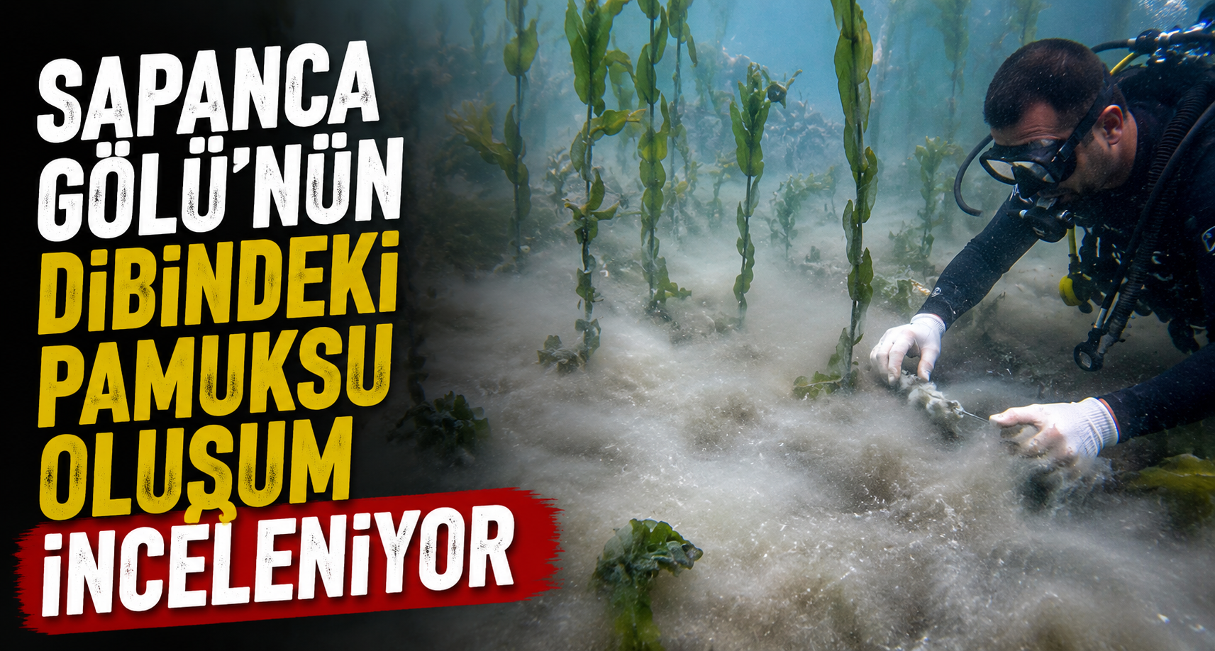 Sapanca Gölü'nün dibindeki pamuksu oluşum inceleniyor