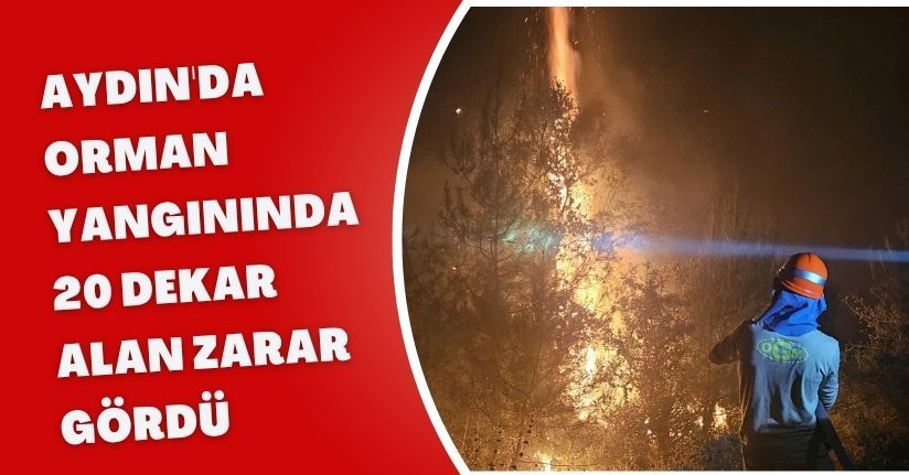 Aydın'da orman yangınında 20 dekar alan zarar gördü