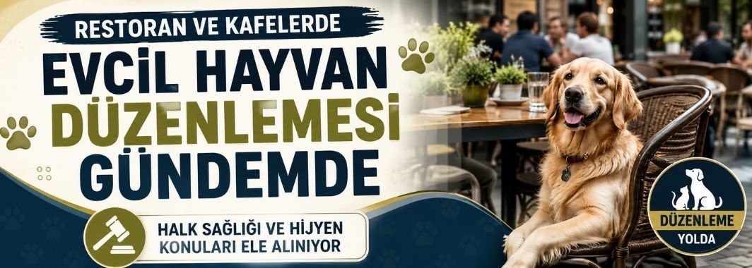Restoran ve Kafelerde Evcil Hayvan Düzenlemesi Gündemde