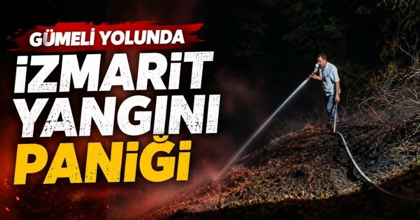 Gümeli yolunda izmarit yangını paniği