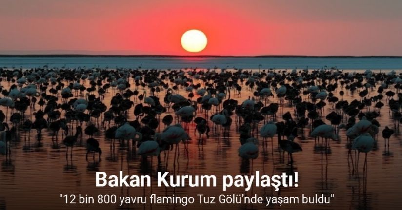 Bakan Kurum: