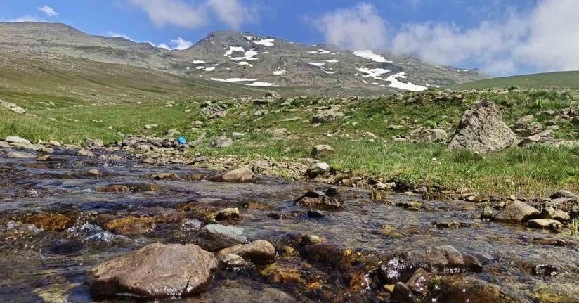 Ordu’nun yaylalarında yaz güzelliği