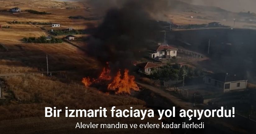 Bir izmarit faciaya yol açıyordu: Alevler mandıra ve evlere kadar ilerledi