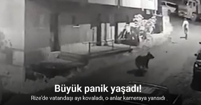 Rize’de vatandaşı ayı kovaladı, o anlar kameraya yansıdı